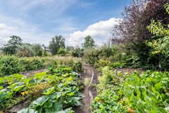 20250828, Noordeinde 91, Waddinxveen, Oudijk Makelaardij (96 of 114).jpg